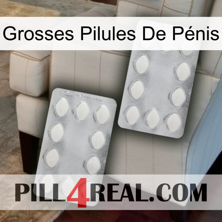 Grosses Pilules De Pénis 17